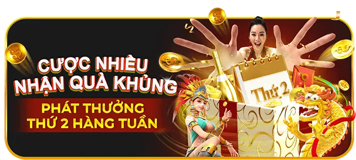 Cam kết của new8 với người chơi