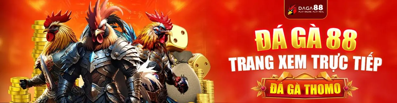 Đá gà trực tuyến New8 – Sân chơi uy tín