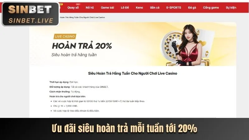 Casino trực tuyến New8
